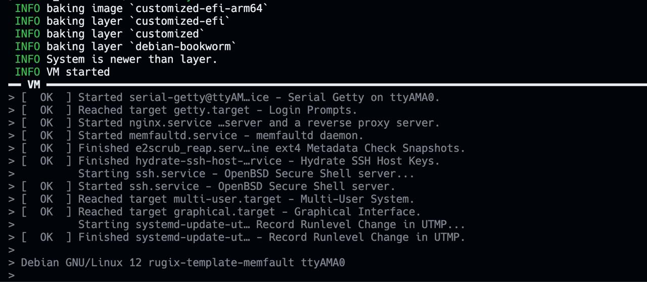 Screenshot of the VM Booting